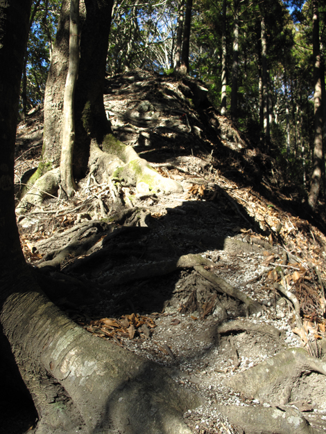 20190121hike (90)